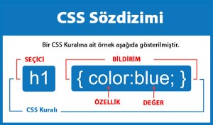 CSS Dersleri - 3 || CSS Seçiciler