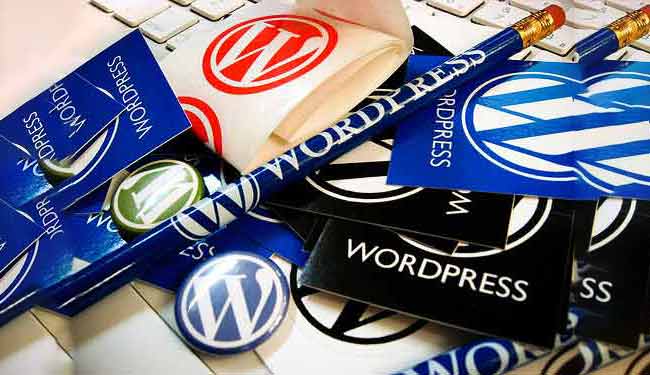 wordpress yazı editörü sorunu ve çözümü