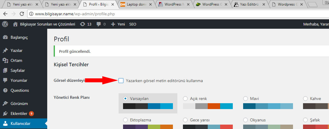 wordpress yazı editörü sorunu ve çözümü