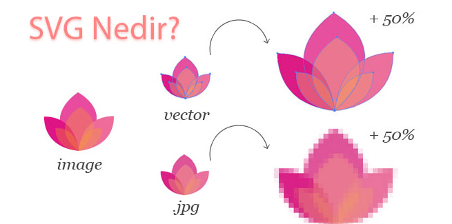 svg nedir nerelerde kullanılır